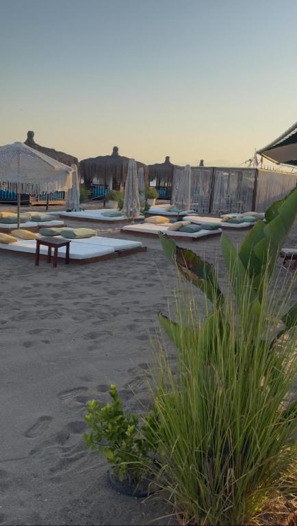 SPA & Wellness